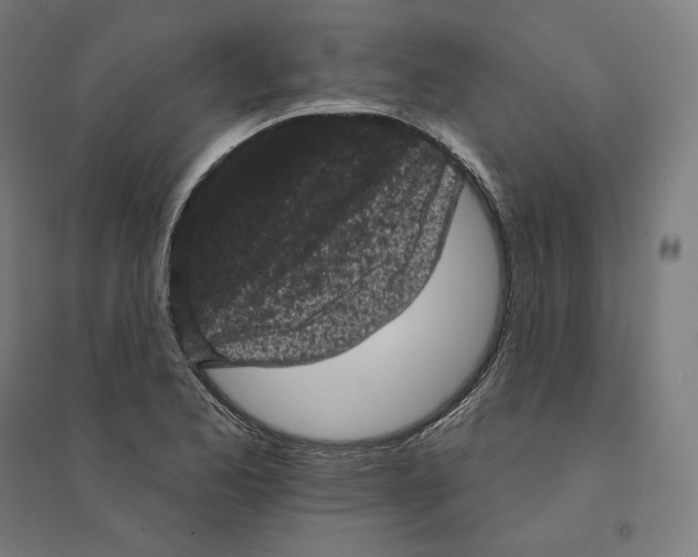 X0000094441173200712061130