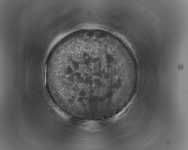 X0000094441175200712061130