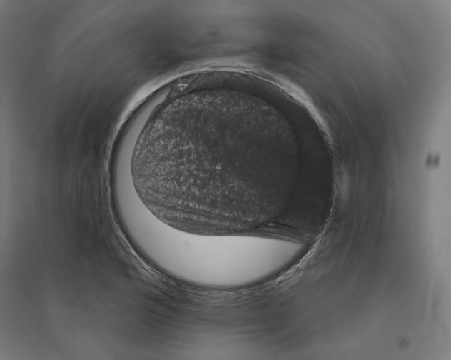 X0000094441176200712061130