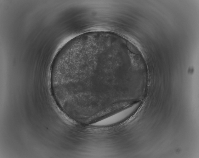 X0000094441179200712061130