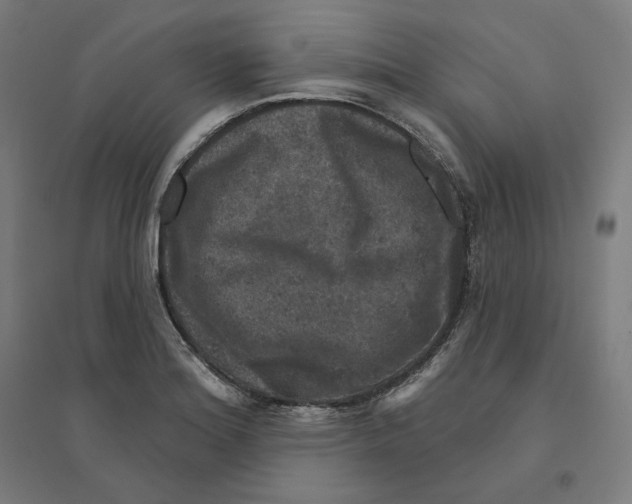 X0000094441180200712061130