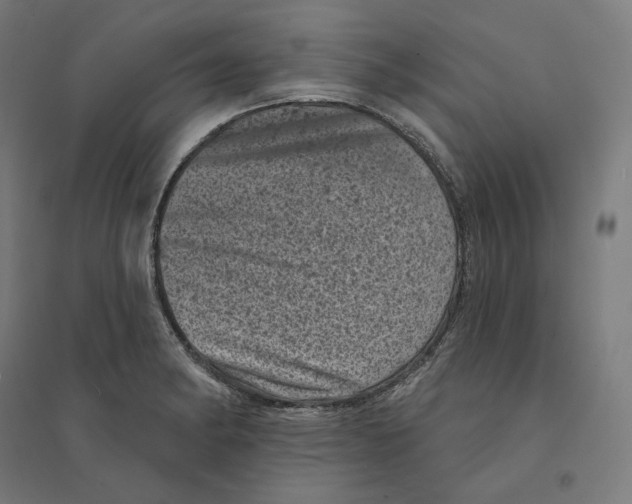 X0000094441182200712061130