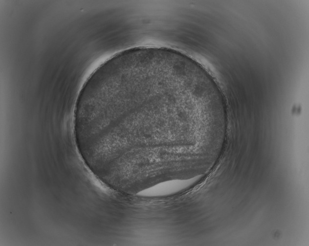 X0000094441183200712061130