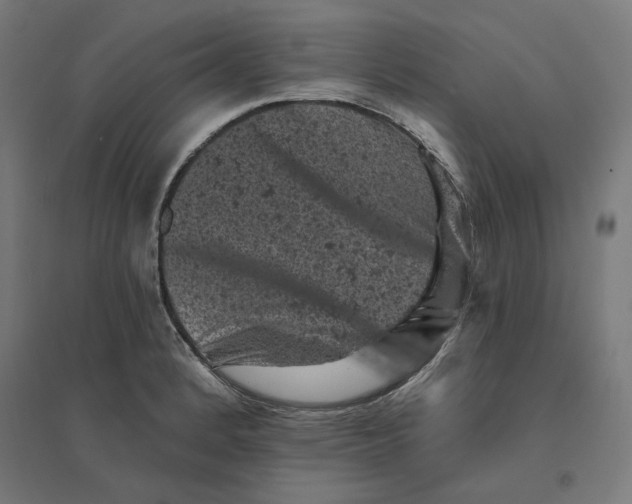 X0000094441184200712061130