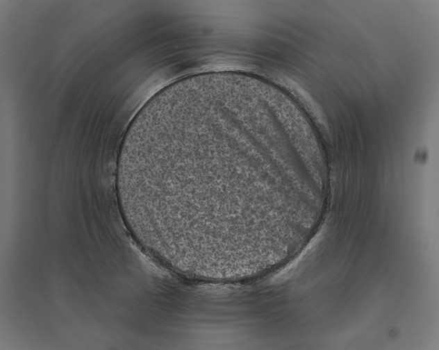 X0000094441185200712061130