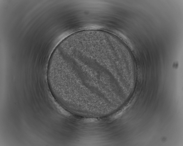 X0000094441186200712061130