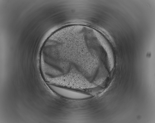 X0000094441188200712061130