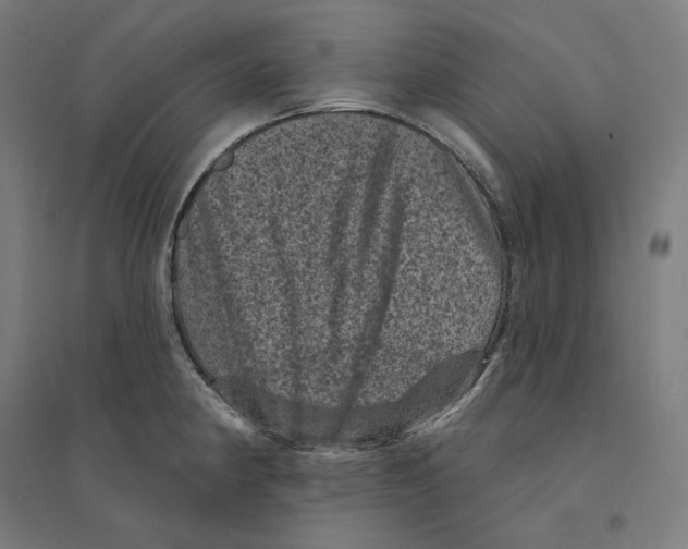 X0000094441190200712061130