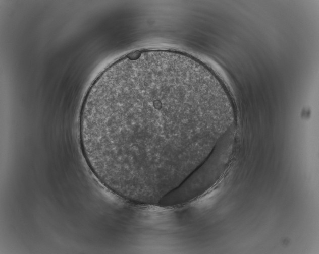 X0000094441191200712061130