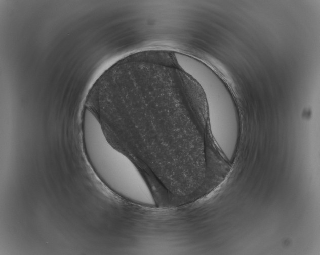 X0000094441192200712061130