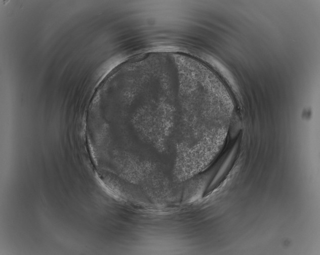 X0000094441193200712061130