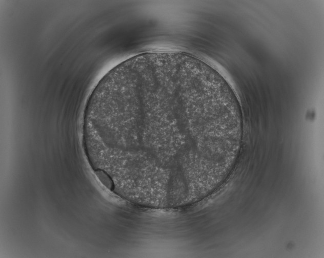 X0000094441195200712061130