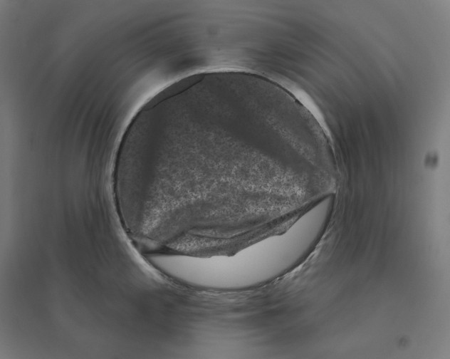 X0000094441197200712061130