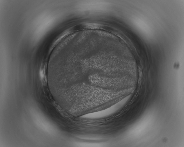 X0000094441198200712061130