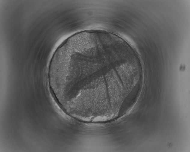 X0000094441200200712061130