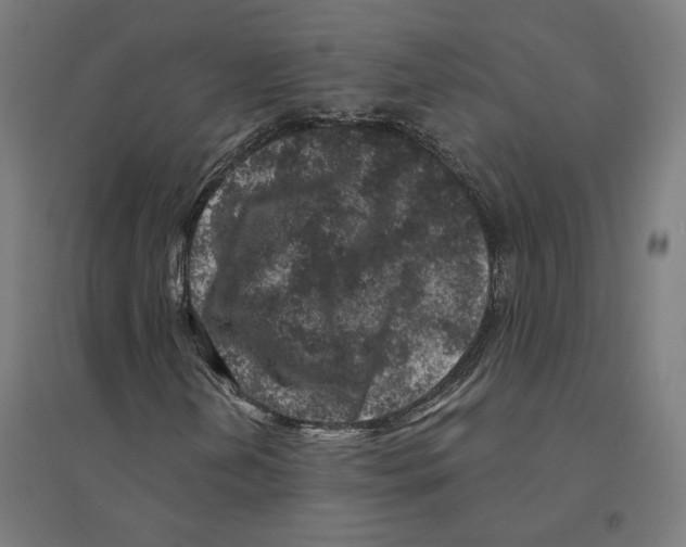 X0000094441202200712061129