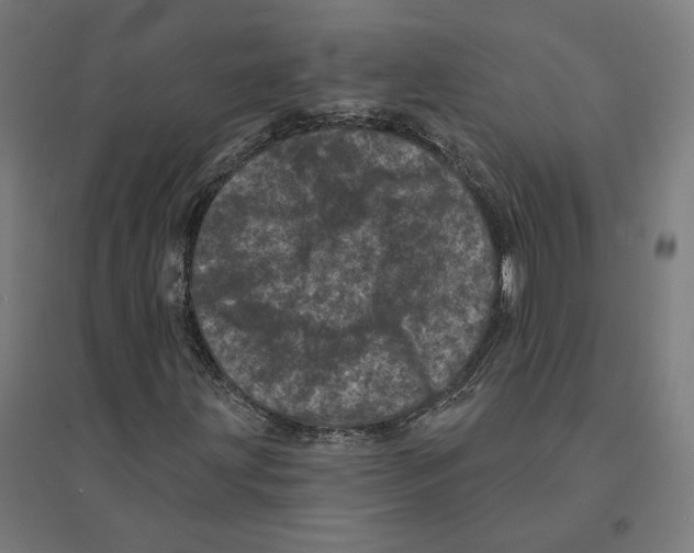 X0000094441203200712061129