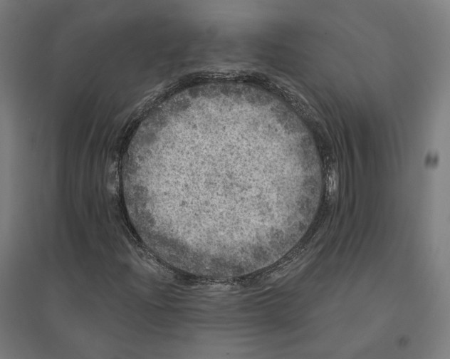 X0000094441204200712061129