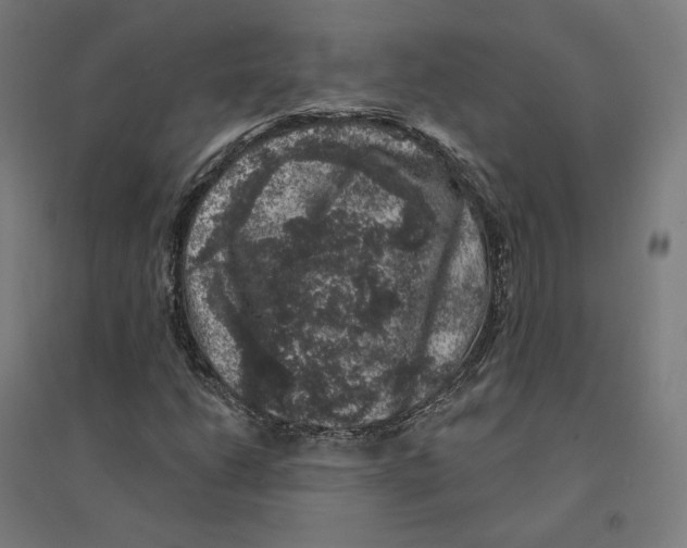 X0000094441206200712061129