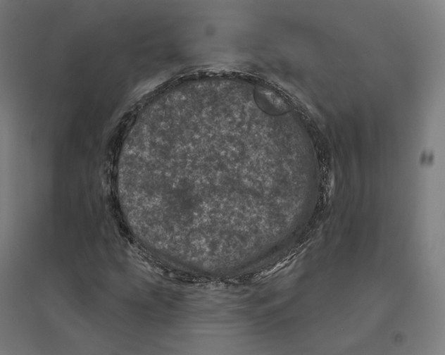 X0000094441207200712061129