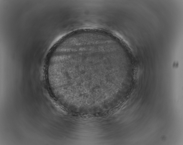 X0000094441208200712061129