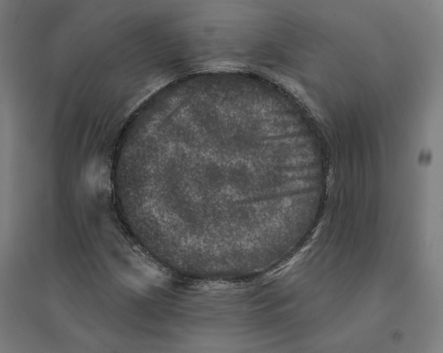 X0000094441209200712061129