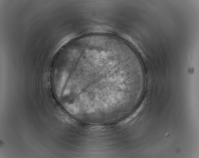 X0000094441211200712061129