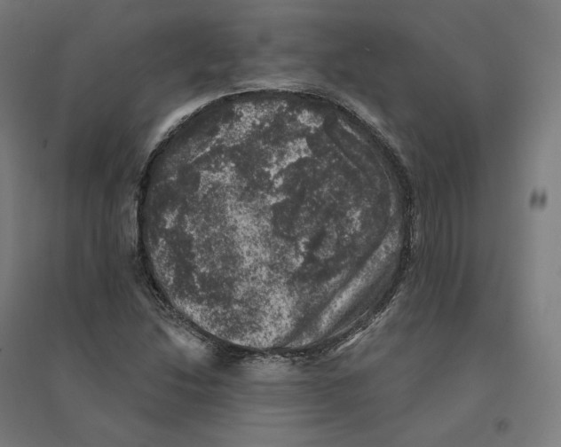 X0000094441214200712061129