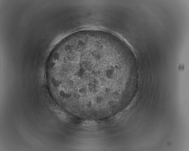 X0000094441215200712061129