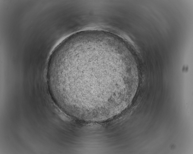 X0000094441216200712061129