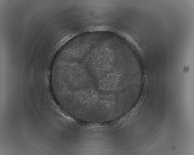 X0000094441217200712061129