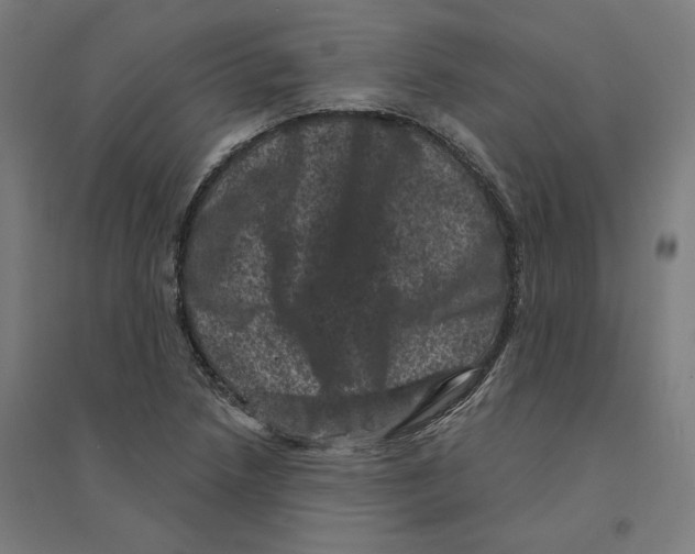 X0000094441218200712061129