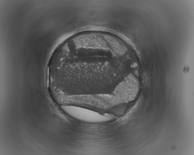 X0000094441223200712061129