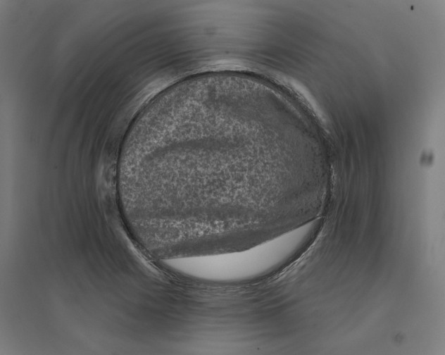 X0000094441225200712061130