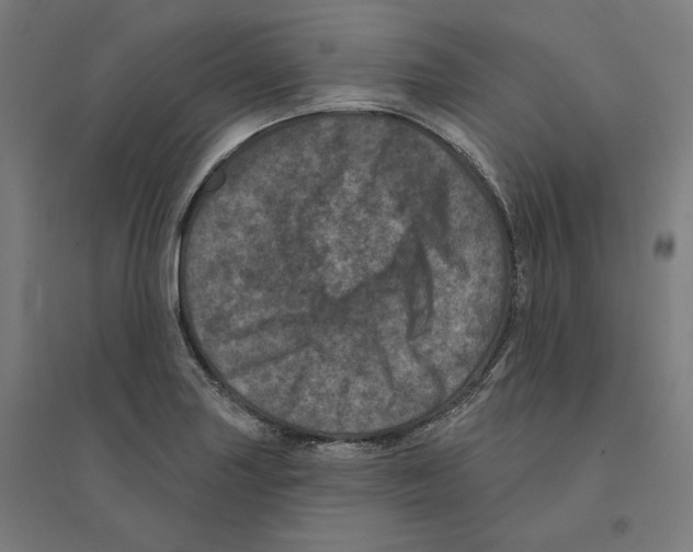 X0000094441227200712061130