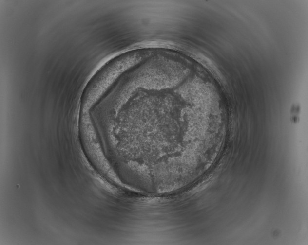 X0000094441228200712061130