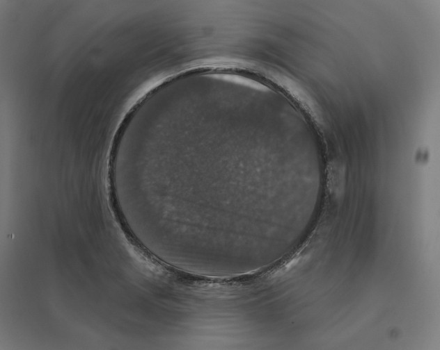 X0000094441229200712061130