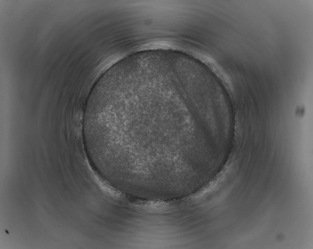 X0000094441233200712061130