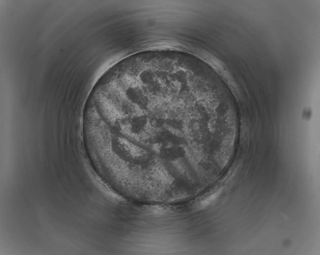 X0000094441234200712061130