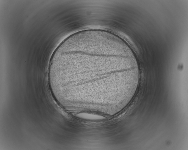 X0000094441236200712061130