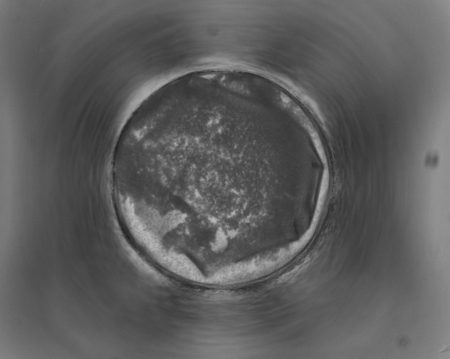 X0000094441239200712061130