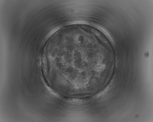 X0000094441241200712061130