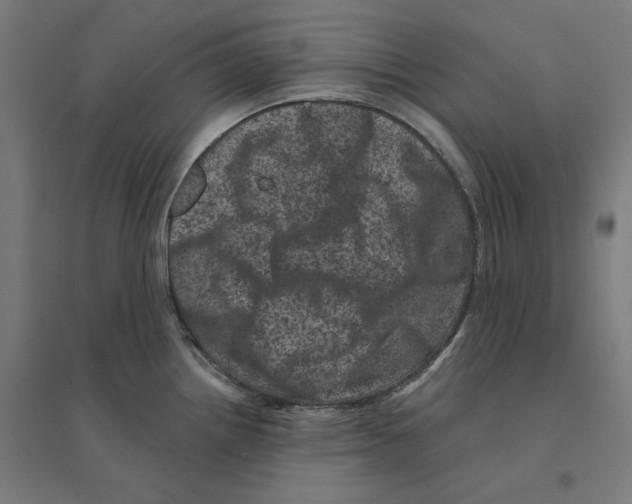 X0000094441242200712061130