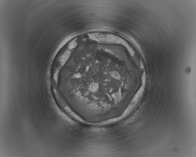 X0000094441243200712061130