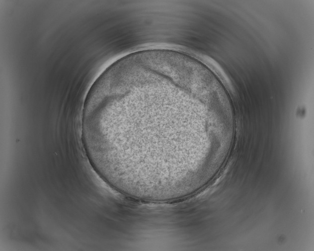 X0000094441244200712061130