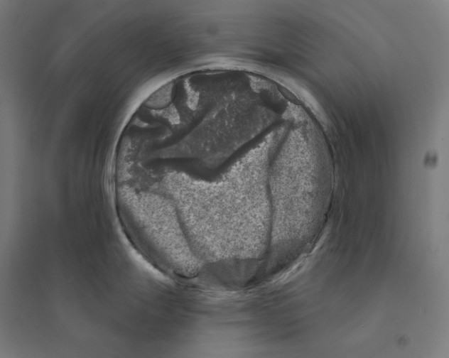 X0000094441247200712061130