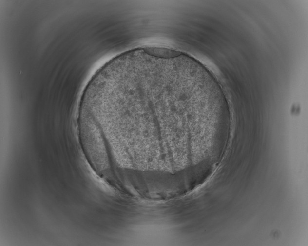 X0000094441248200712061130