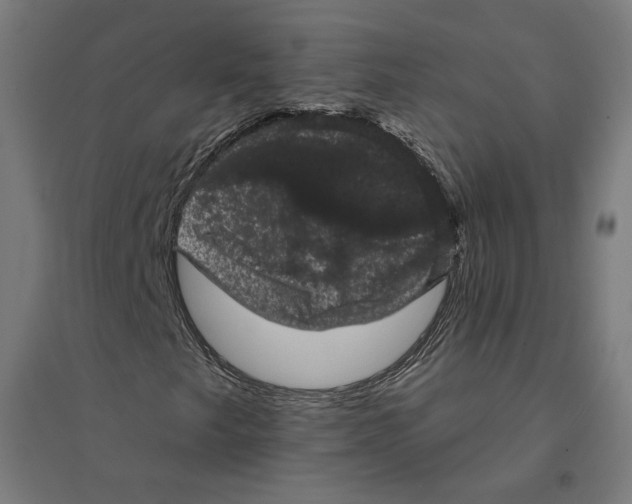 X0000094441249200712061129