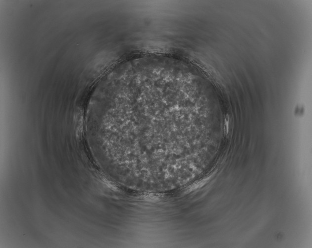 X0000094441251200712061129