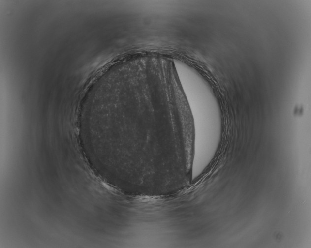 X0000094441253200712061129